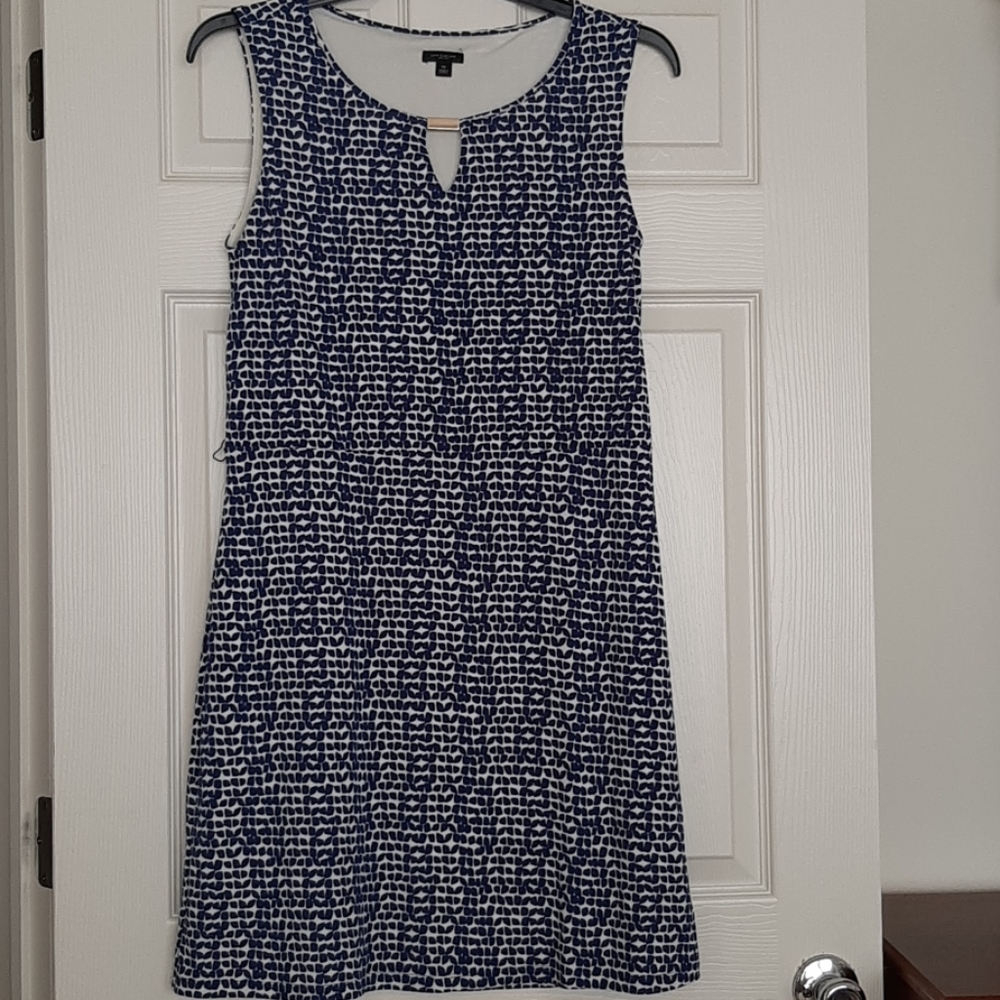 Ann Taylor women dress